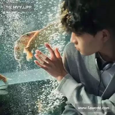 苗剑奇